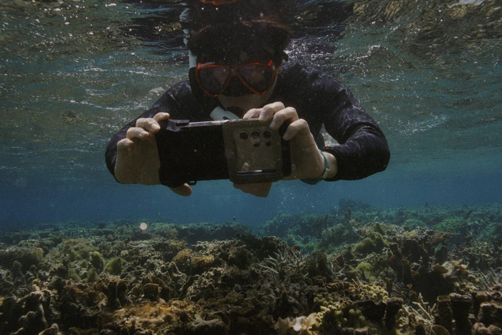 Coral in Focus: Samsung Marks One Year of Marine Ecosystem Restoration With Galaxy Technology