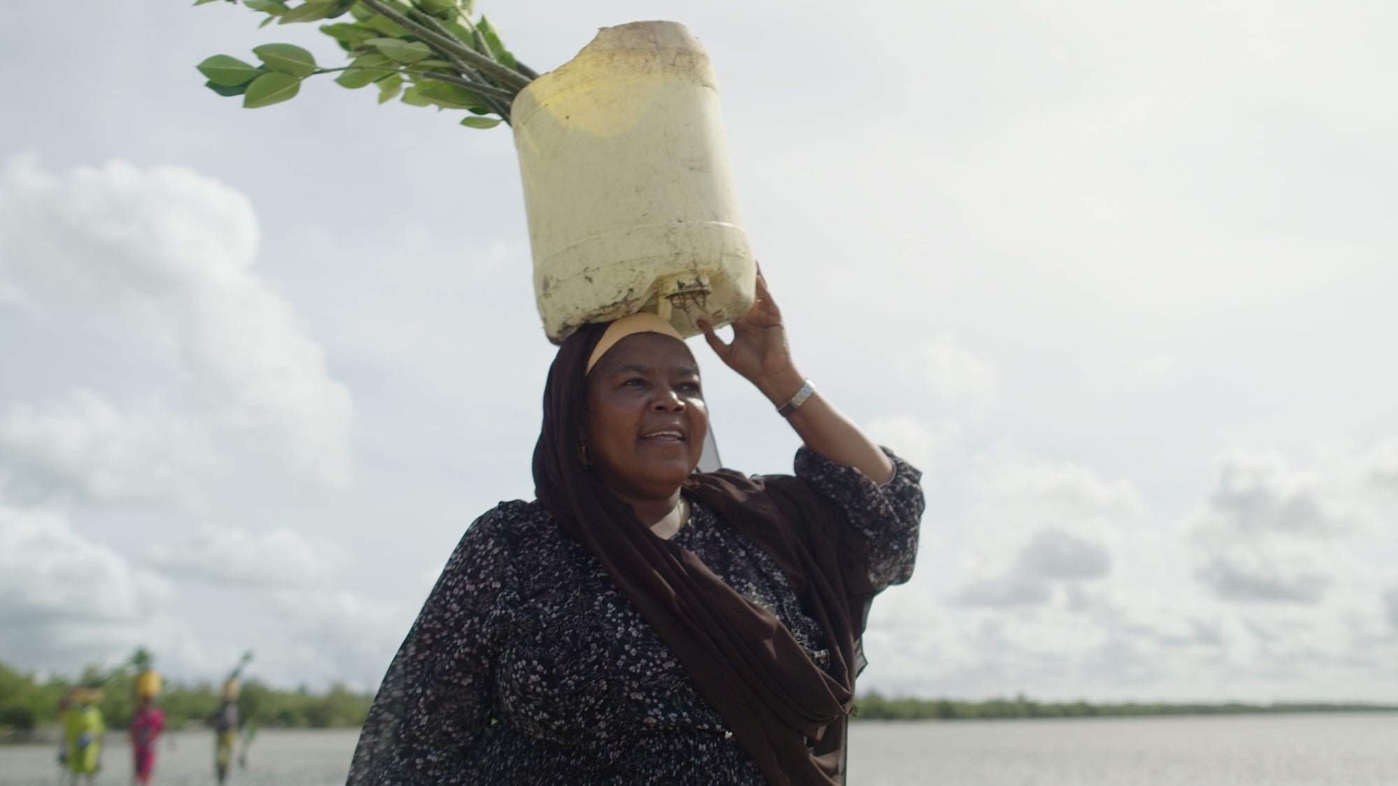 World Mangrove Day Film Release: Voices of Mida Creek-in loving memory of Arafa