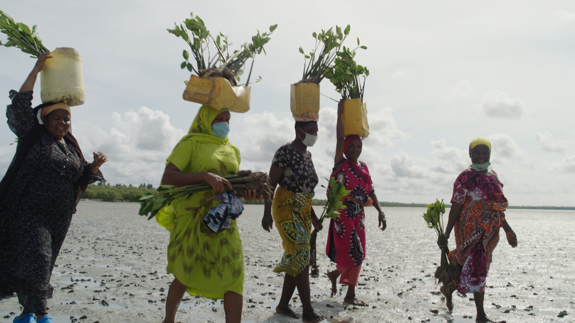 Our Marine Matriarchs:  The Women of Mida Creek