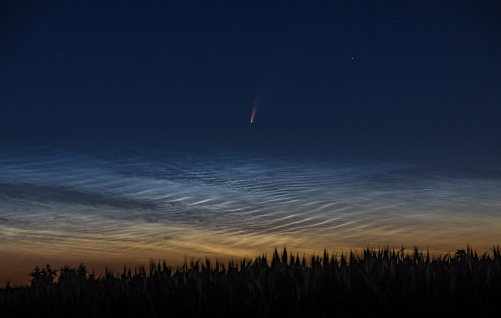 Science News: Comet Neowise and the Origin of Earth's Oceans