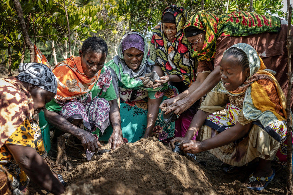 Restoring Kenya’s Coast: Mangroves, Communities, and Hope