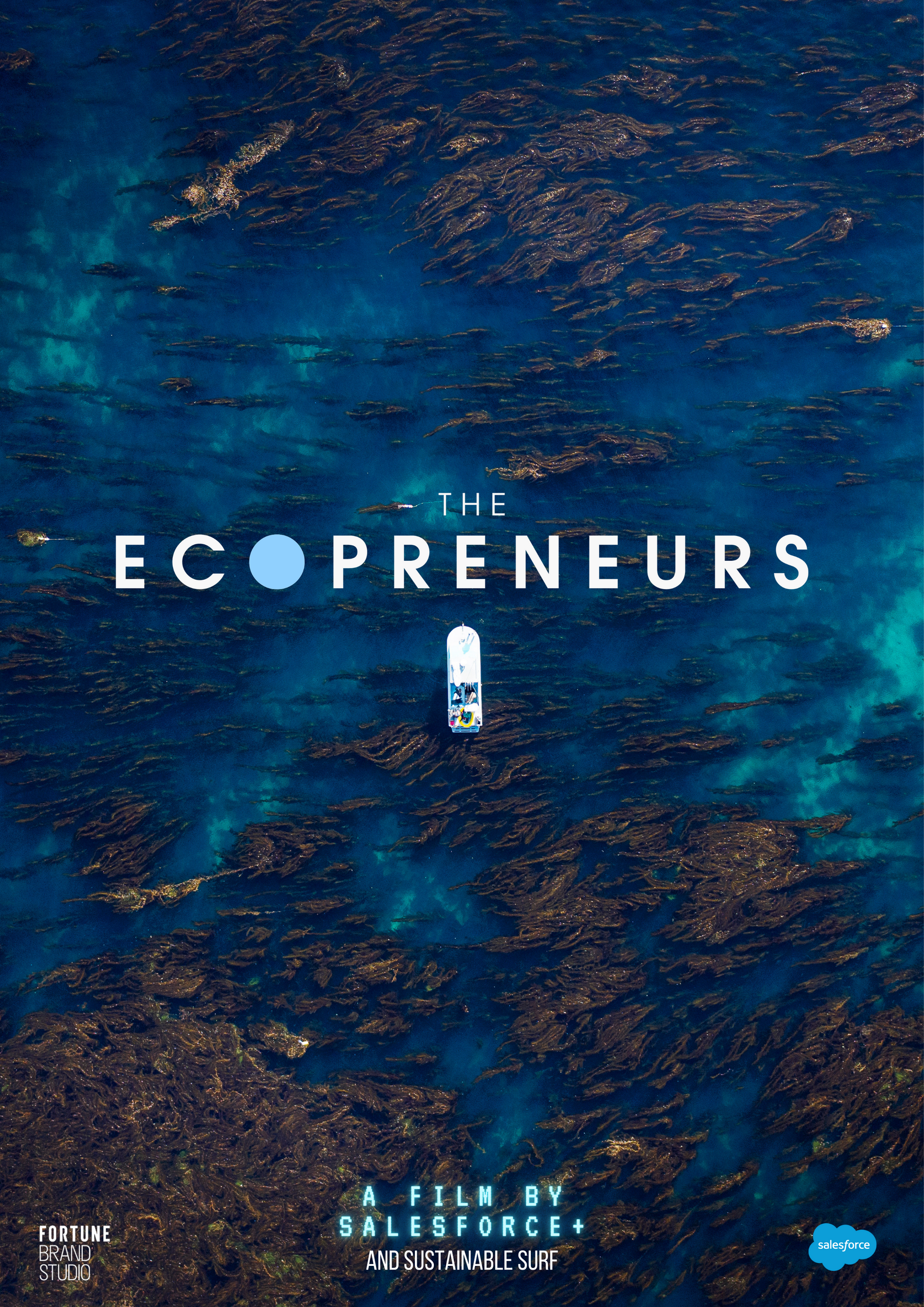 The Ecopreneurs