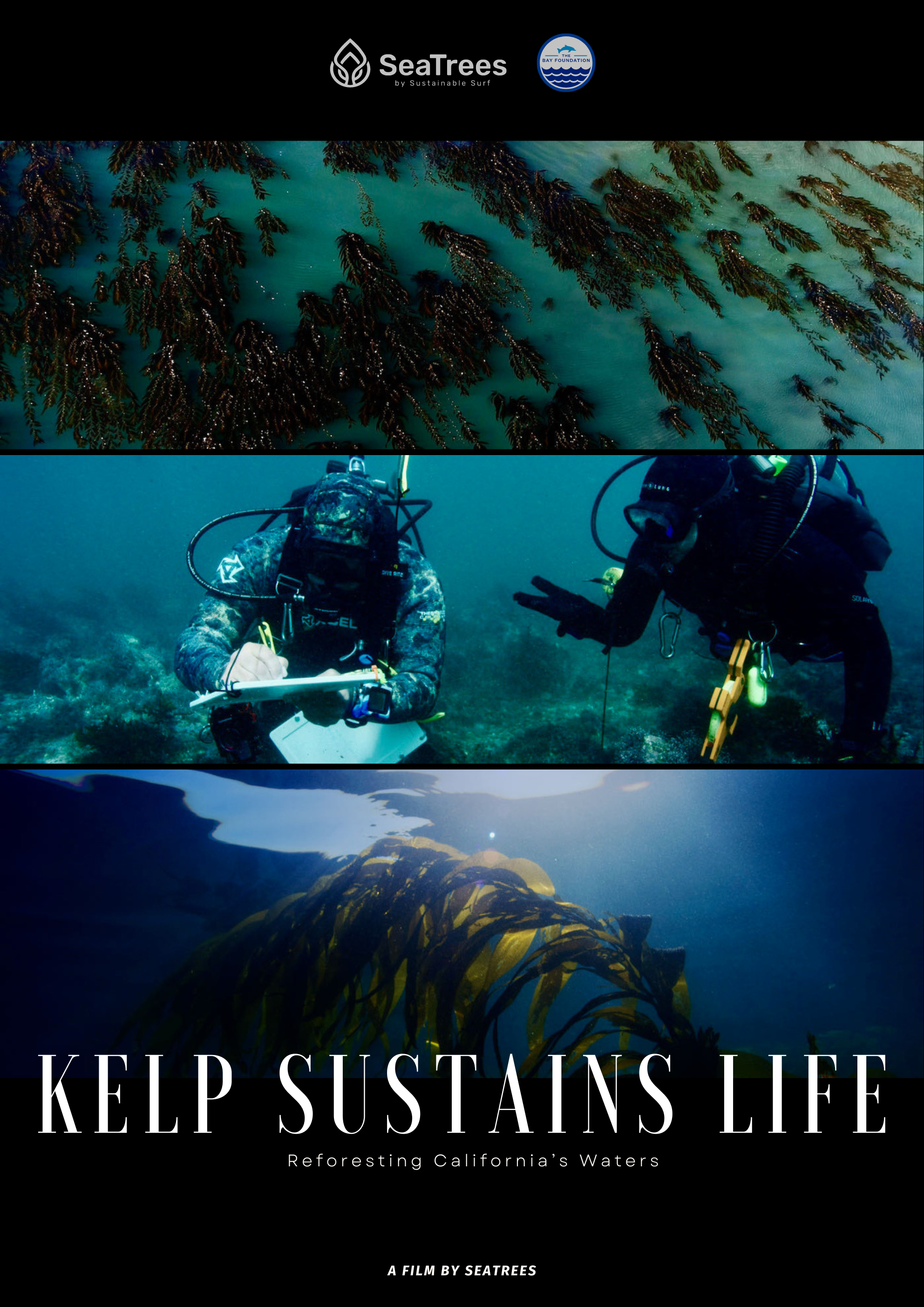 Kelp Sustains Life