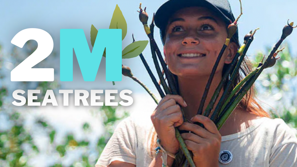 We've Planted 2 Million SeaTrees!