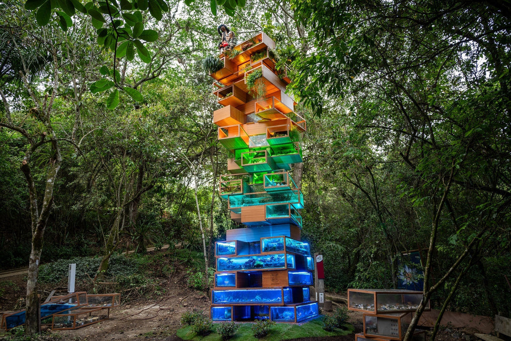 One Year of Building Biodiversity