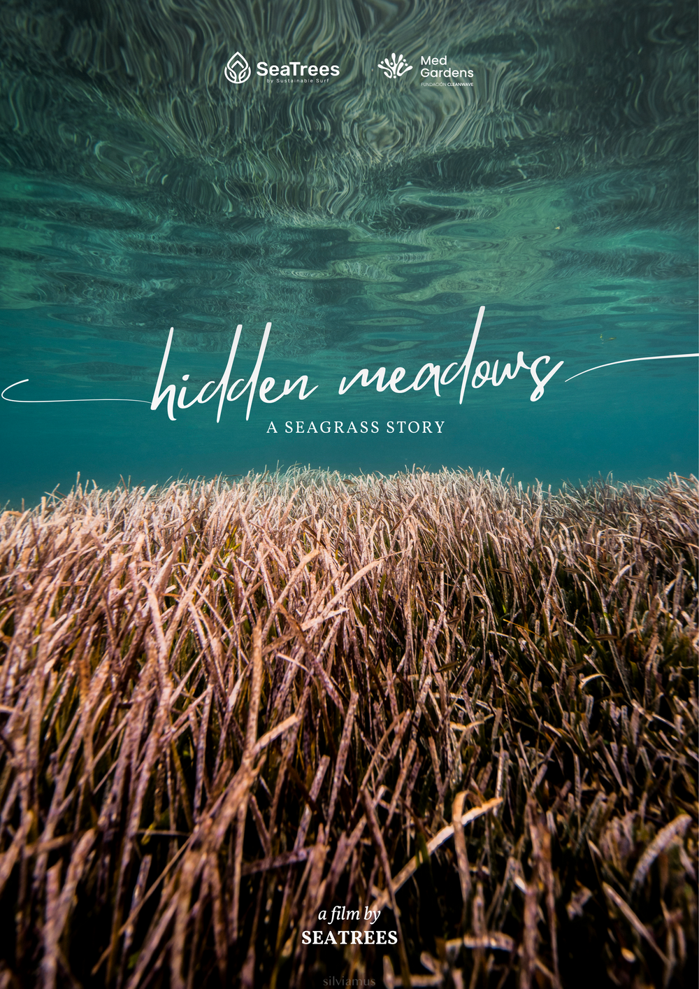 Hidden Meadows: A Seagrass Story