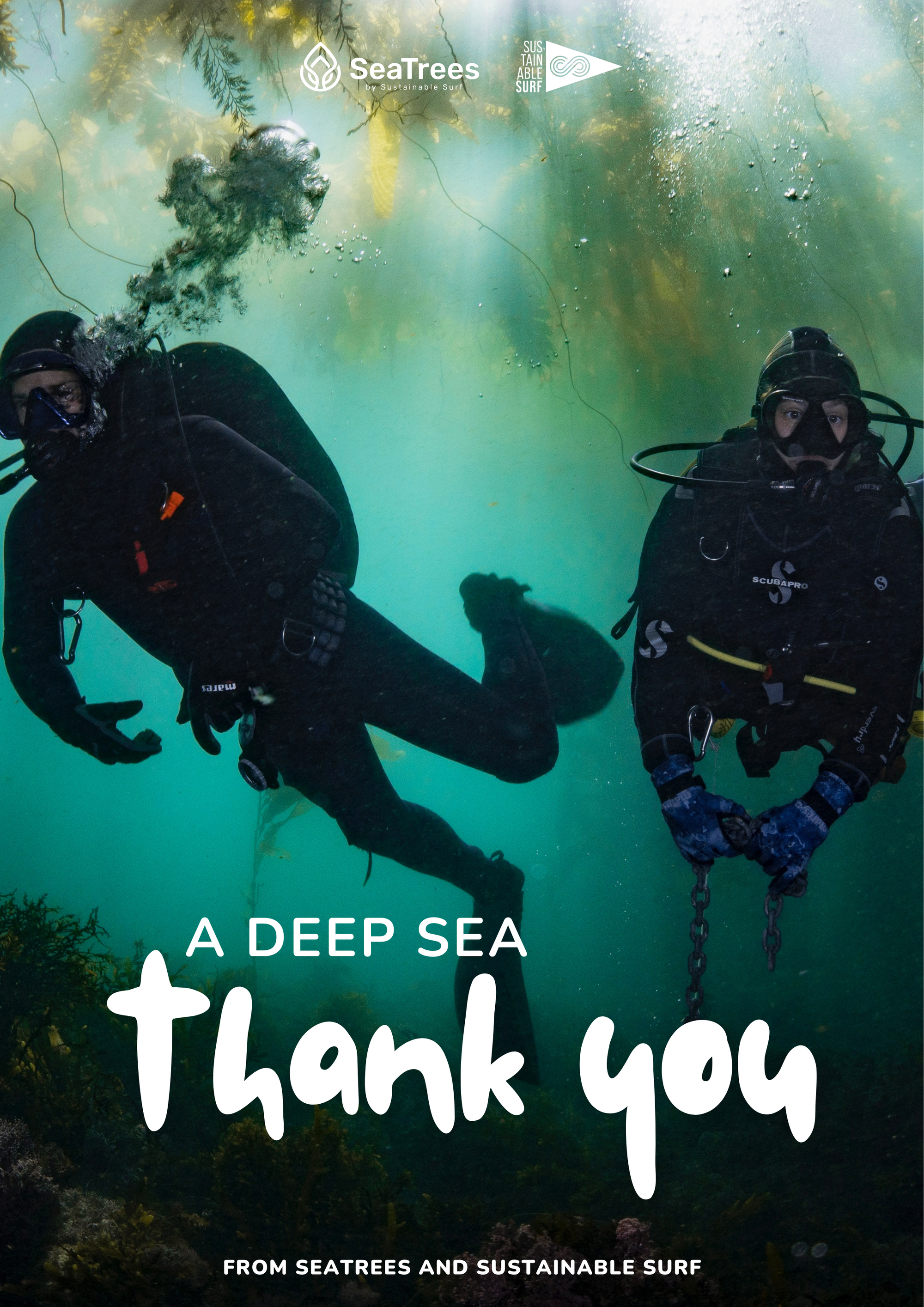 A Deep Sea THANK YOU from SeaTrees and Sustainable Surf!