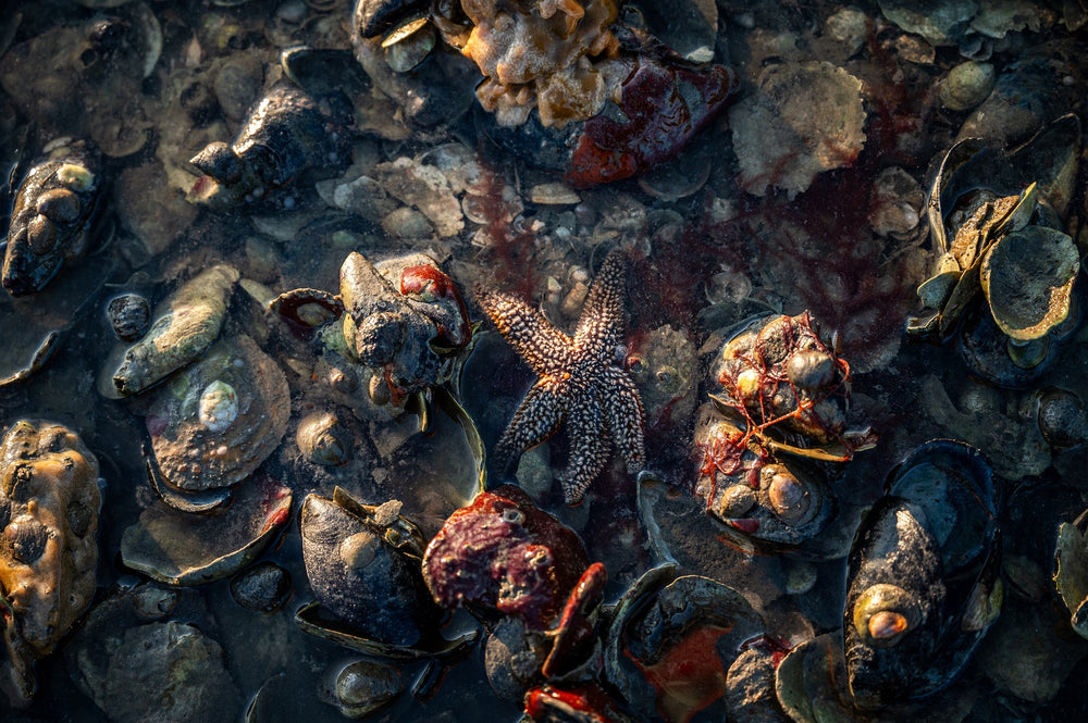 New Film: A Shifting Tide - Out Now!