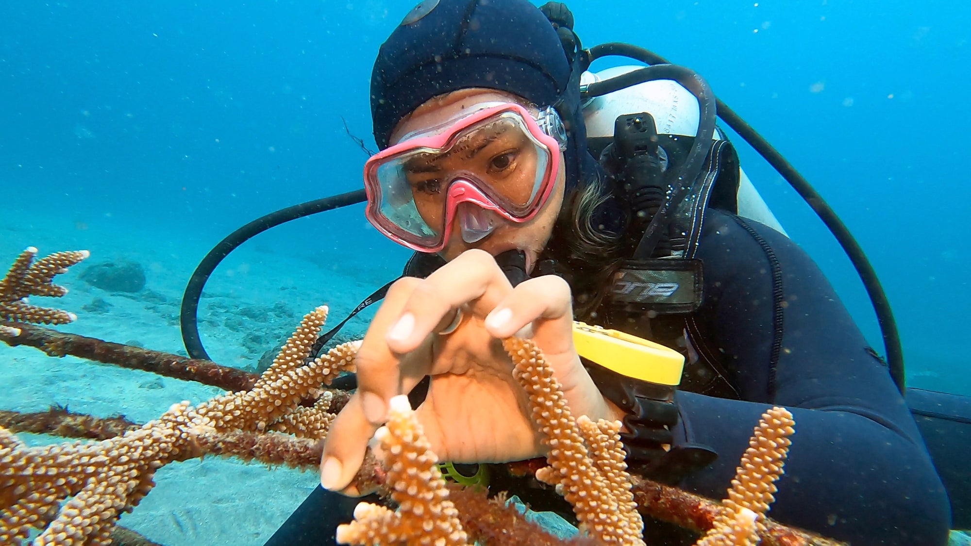 4ocean - No Coral, No Blue: Why Coral Restoration is a Crucial to Ocean Conservation