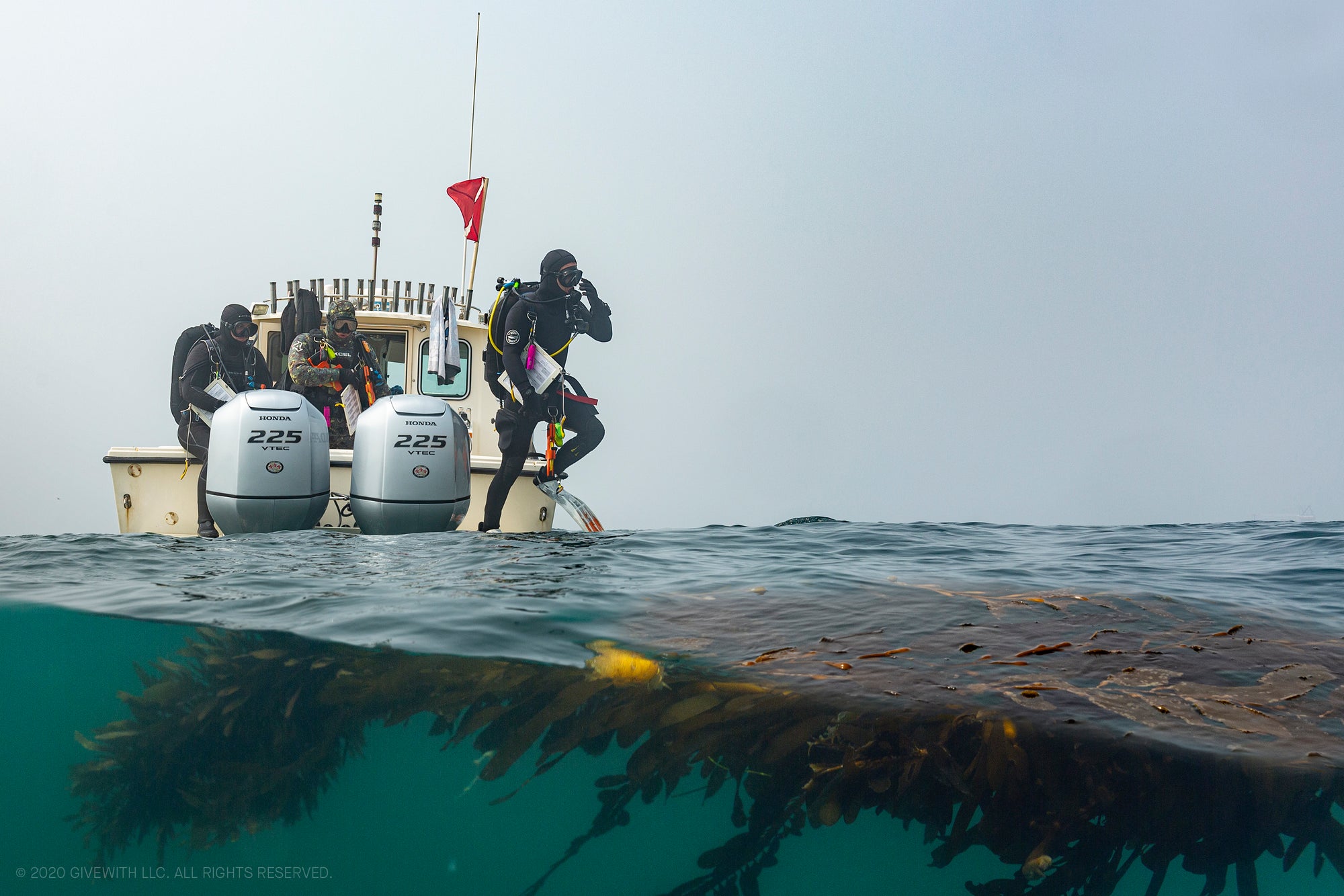 Sustainable Brands: Bumble Bee Plants ‘SeaTrees’ to Kick Off Ocean-Regeneration Initiative