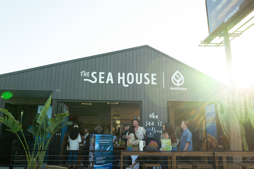 Welcome to The Sea House!