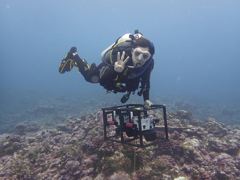 Dive into our new vlog series “Where We Grow”
