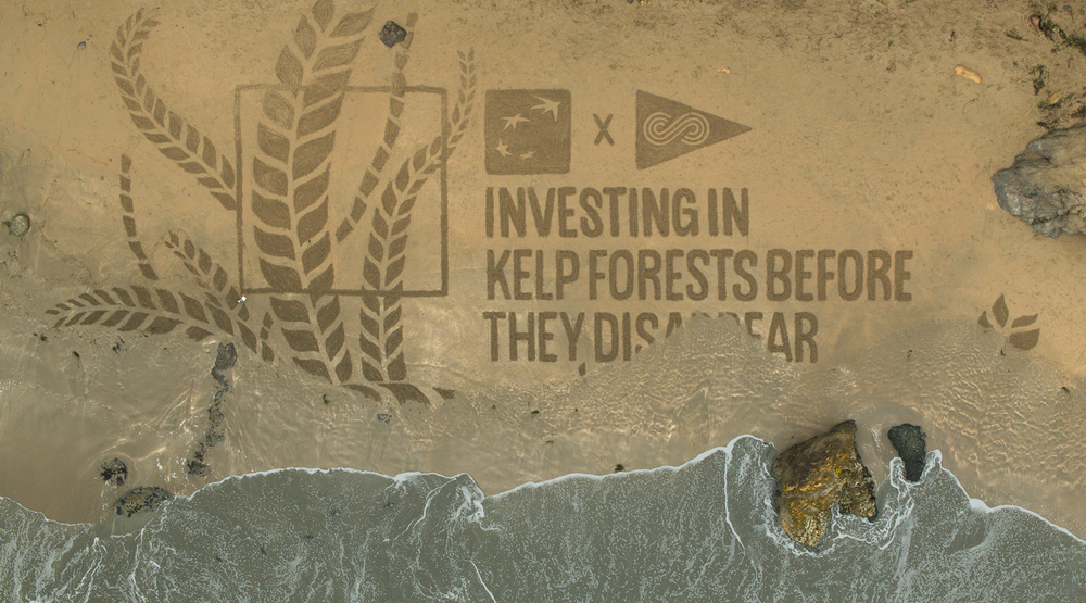 Can you “Leave No Trace” while also creating a big impact? Yes.