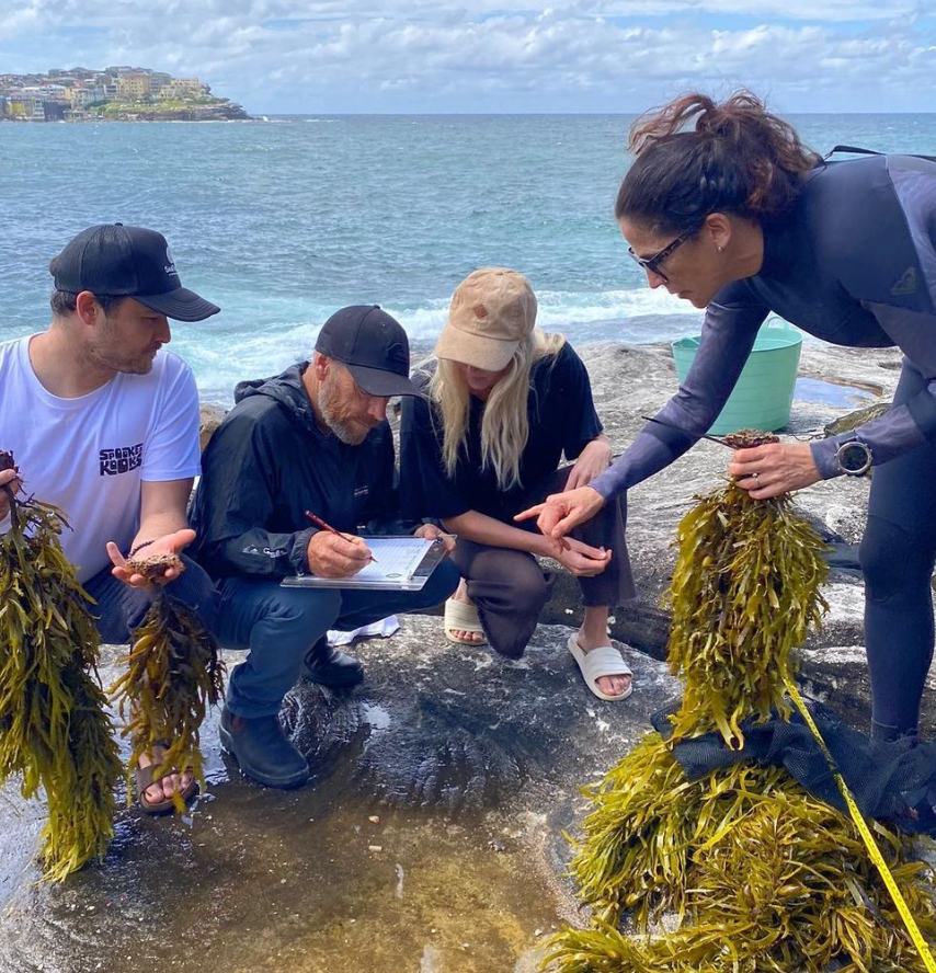 Bringing Sydney's Kelp Forests Back to Life