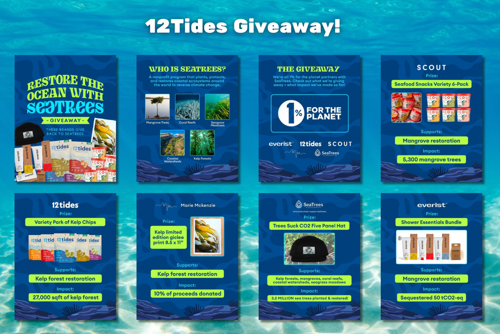 Last Day to Restore the Ocean Giveaway with 12Tides!