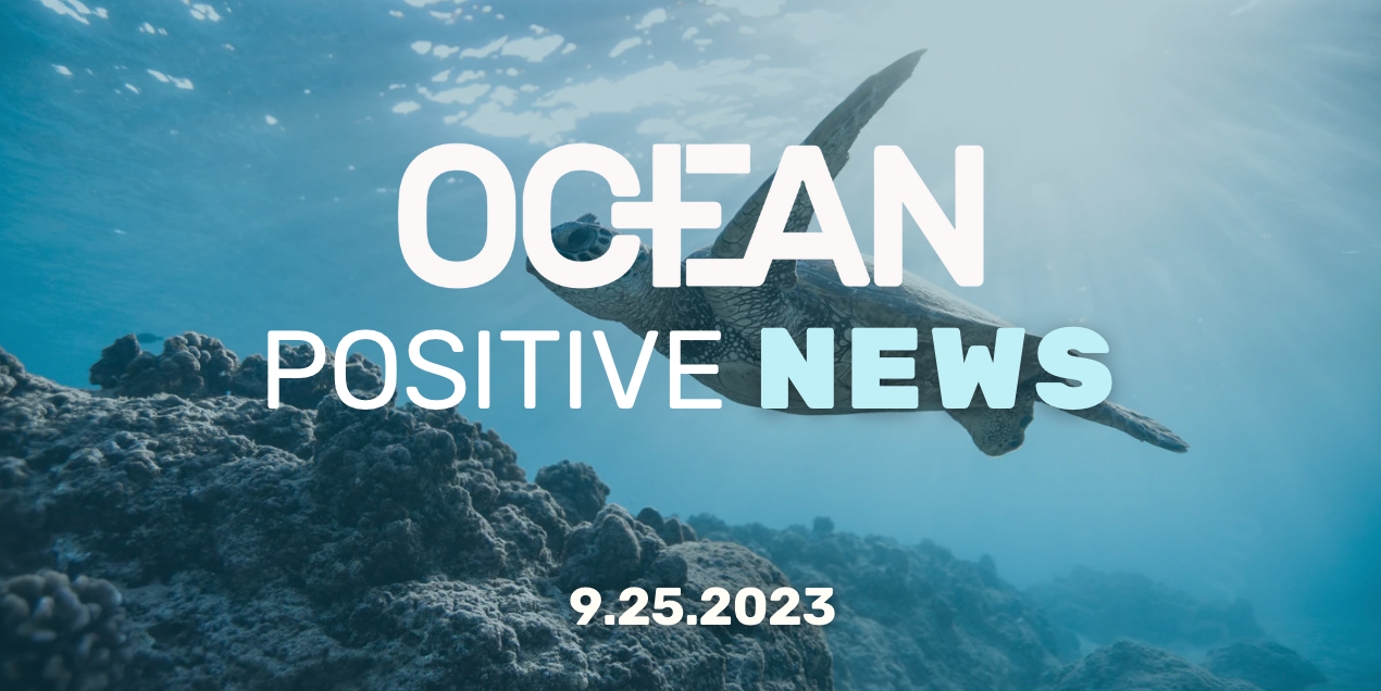 Ocean Positive News 🌊 9.25.23