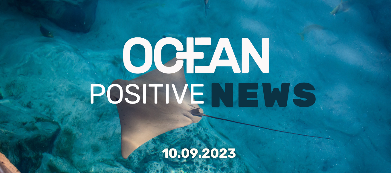 Ocean Positive News 🌊 10.09.23