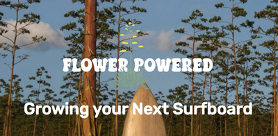 Growing Your Next Surfboard: Flower Powered