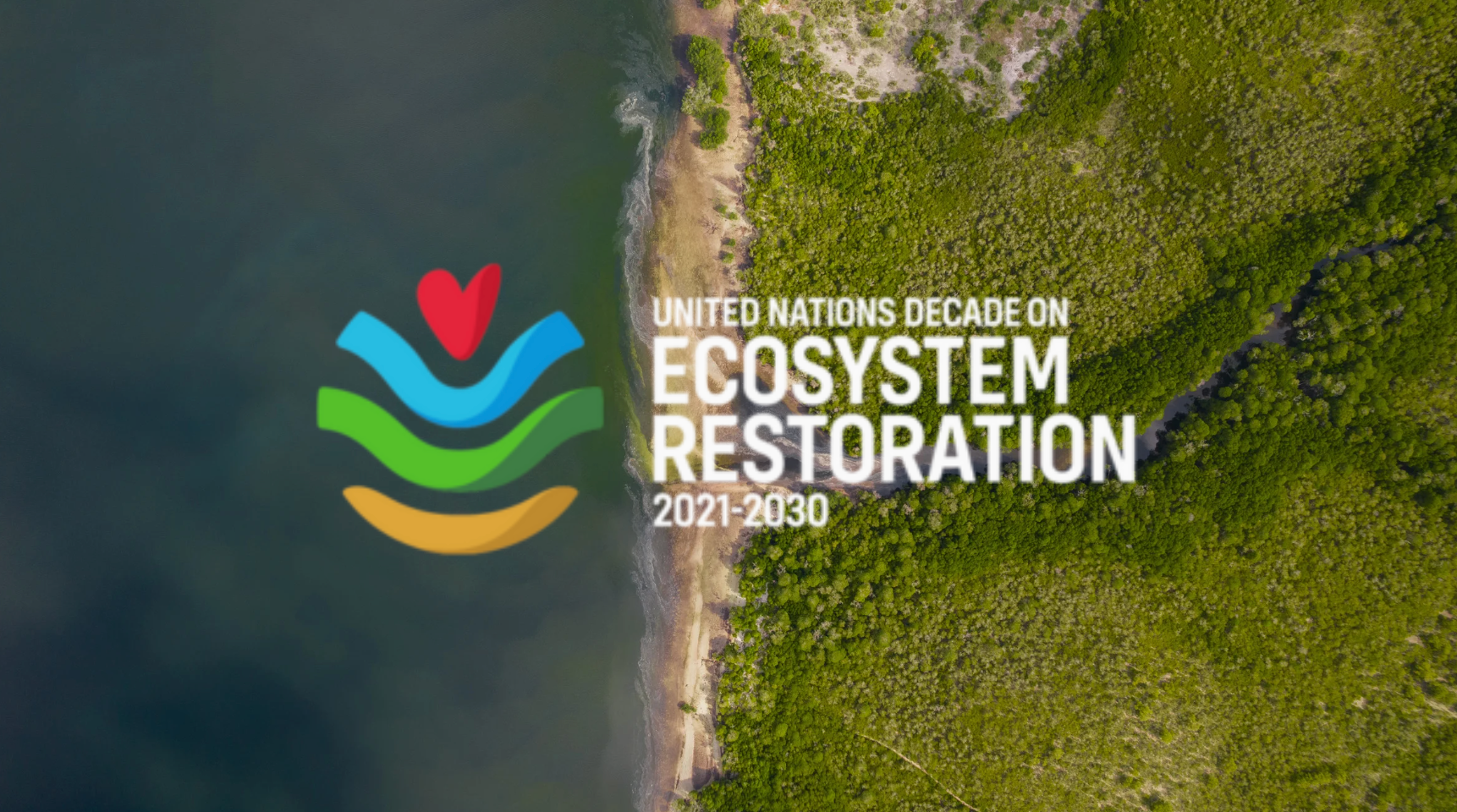 We're an Official Actor for the United Nations Decade on Ecosystem Restoration