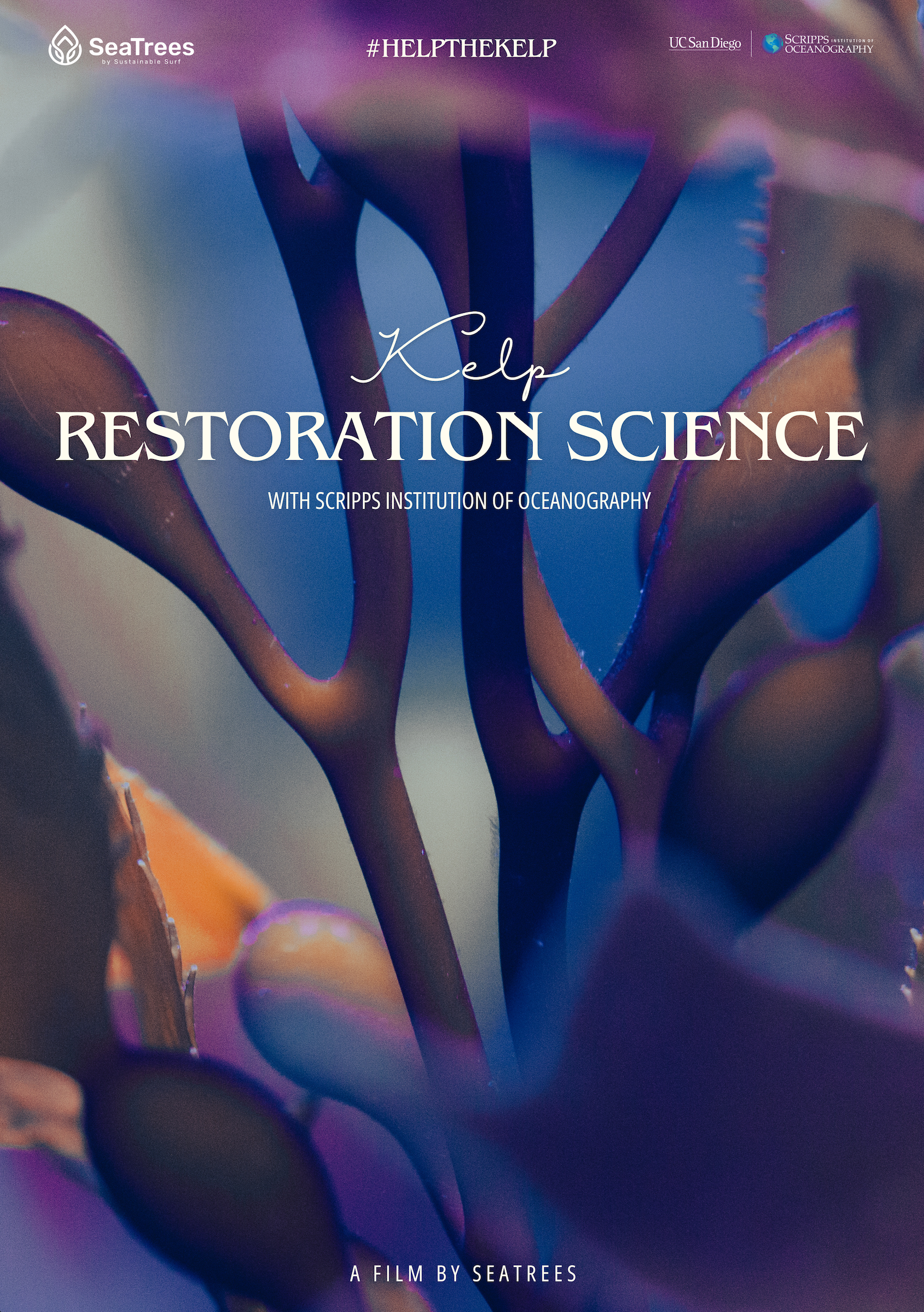 Kelp Restoration Science with Scripps Institution of Oceanography