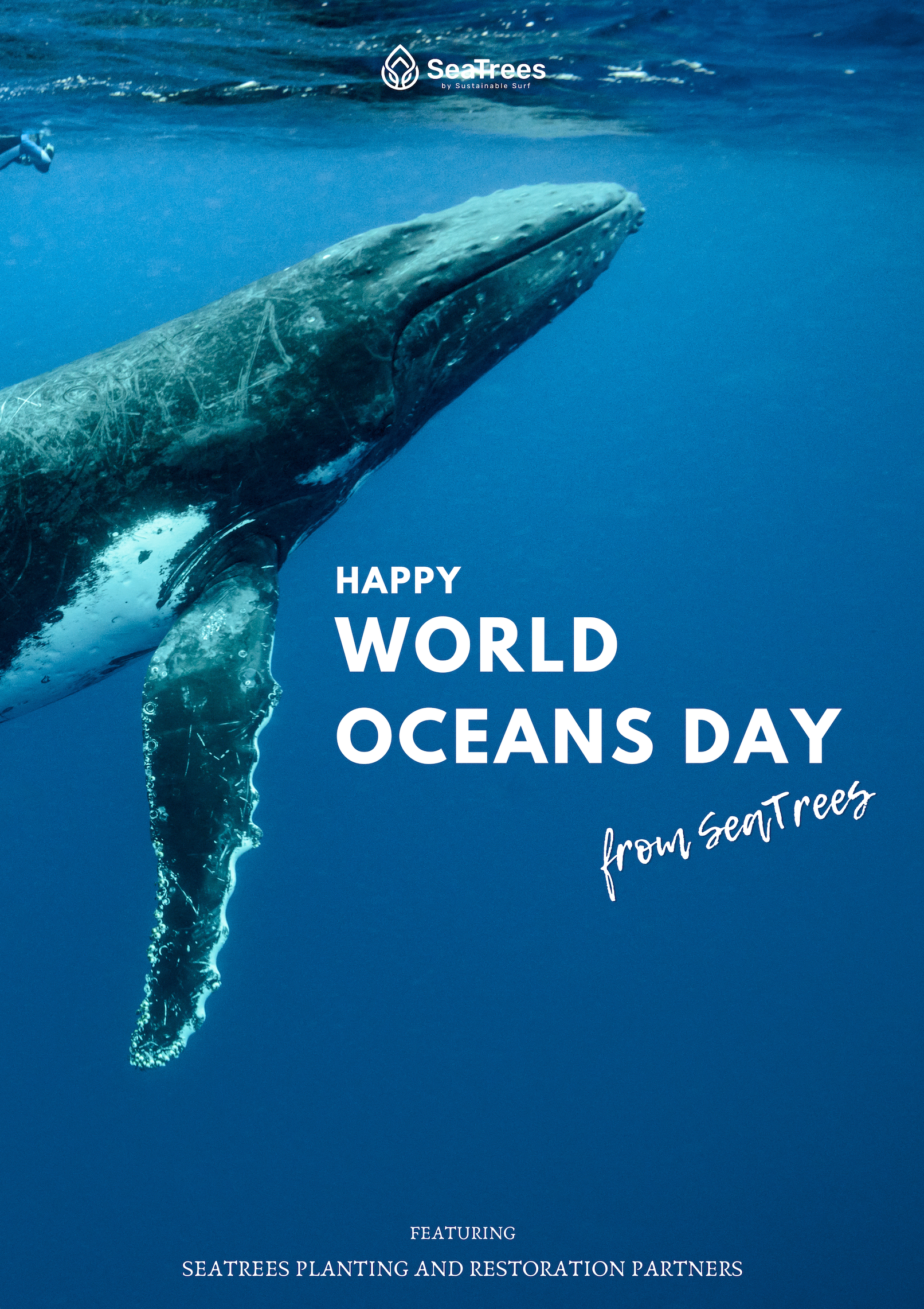 Happy World's Ocean Day from Seatrees