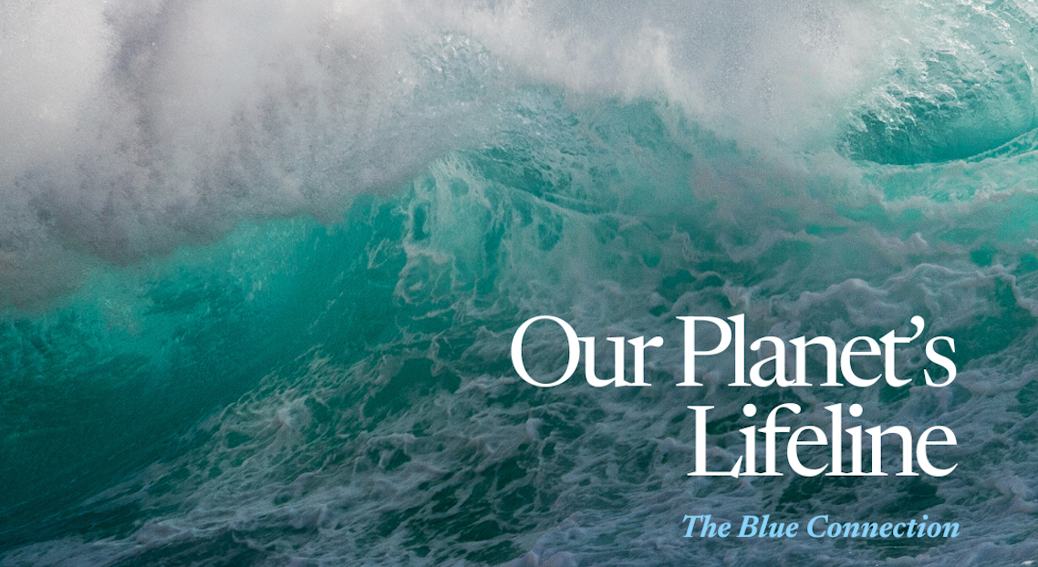 Our Planet's Lifeline: The Blue Connection