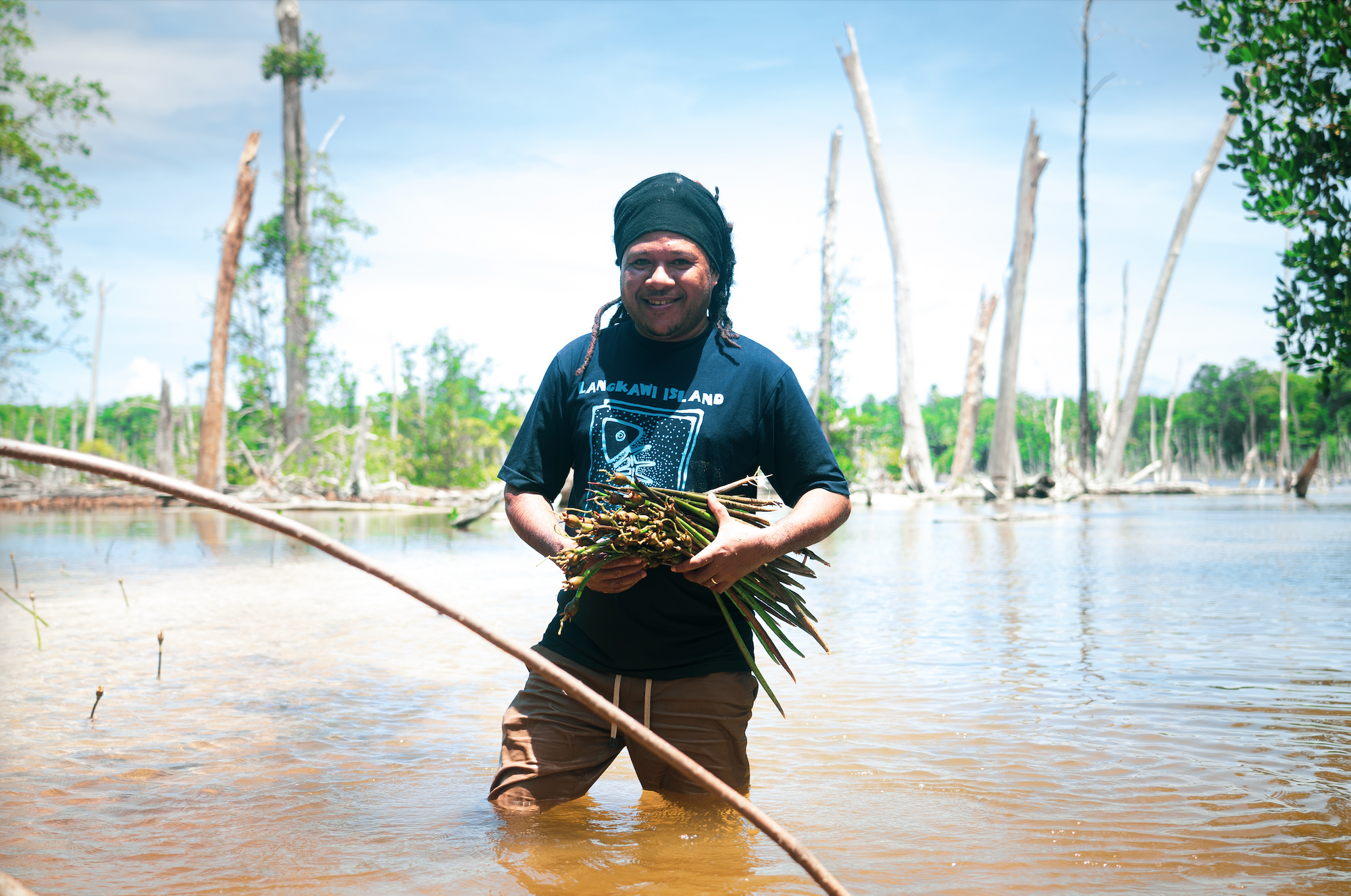 A Moment for Mangroves