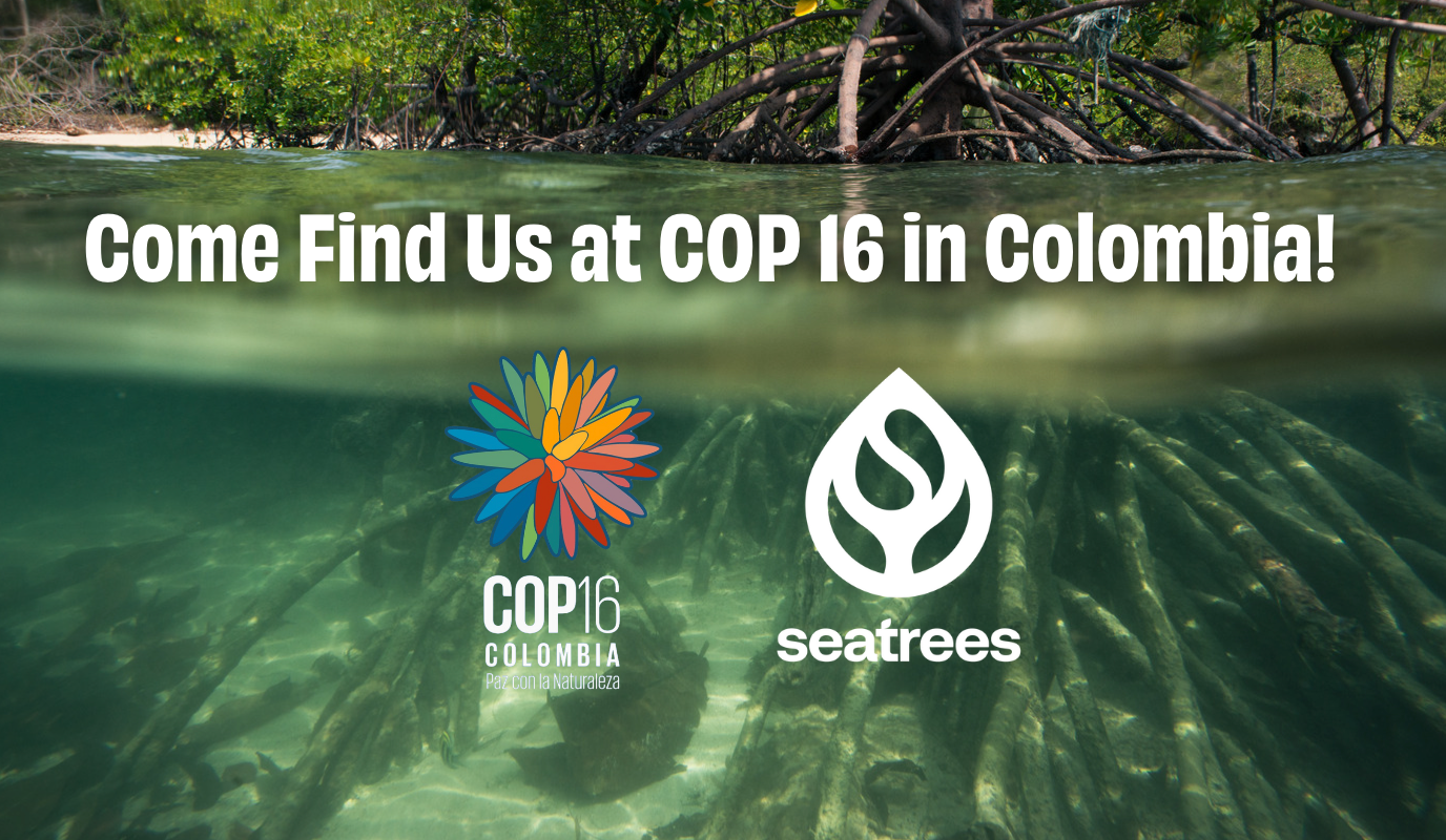 Come Find SeaTrees at COP 16 in Colombia!