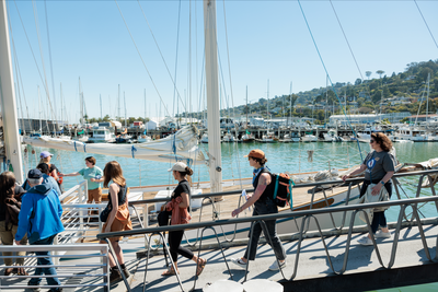 Sailing around San Francisco Bay with SeaTrees and Materevolve