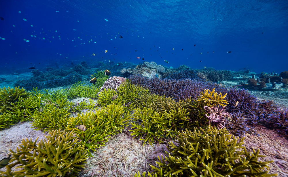 Project Update: Bali!