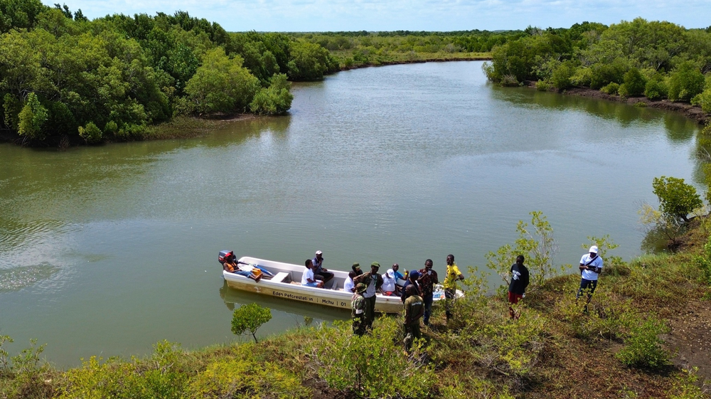 Guardians of the Mangroves