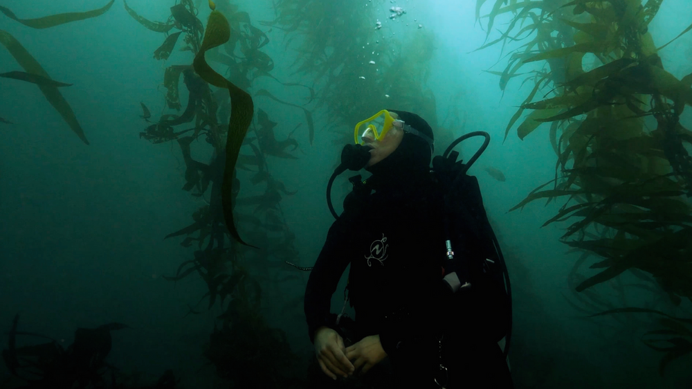 Press Release: Seatrees Documentary Kelp Currency Selected for Climate Film Festival in New York City