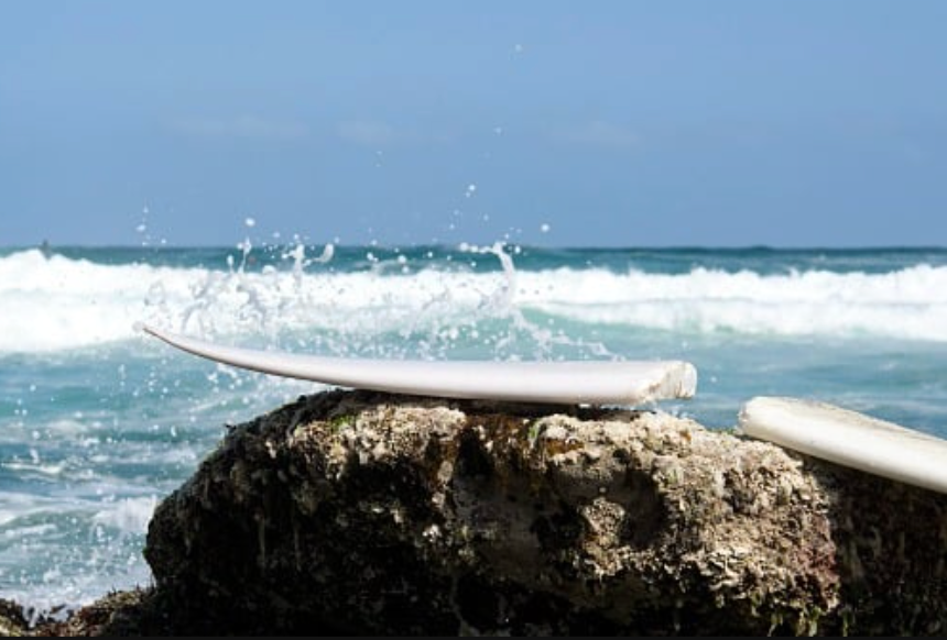 How Surfing is Driving Climate Action this Green Sports Day