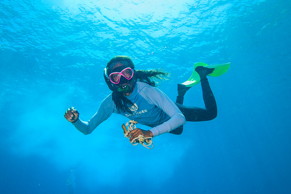 What do corals get stressed about? Current events!