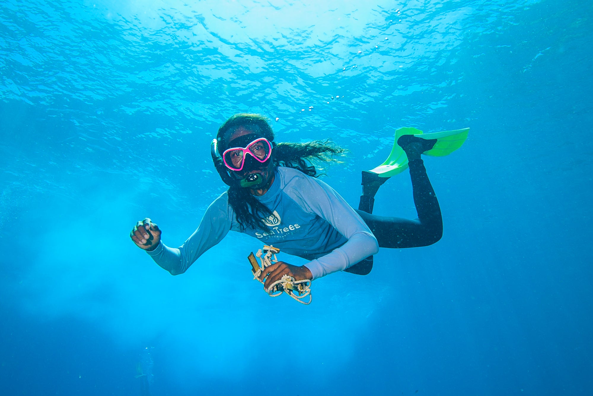 What do corals get stressed about? Current events!