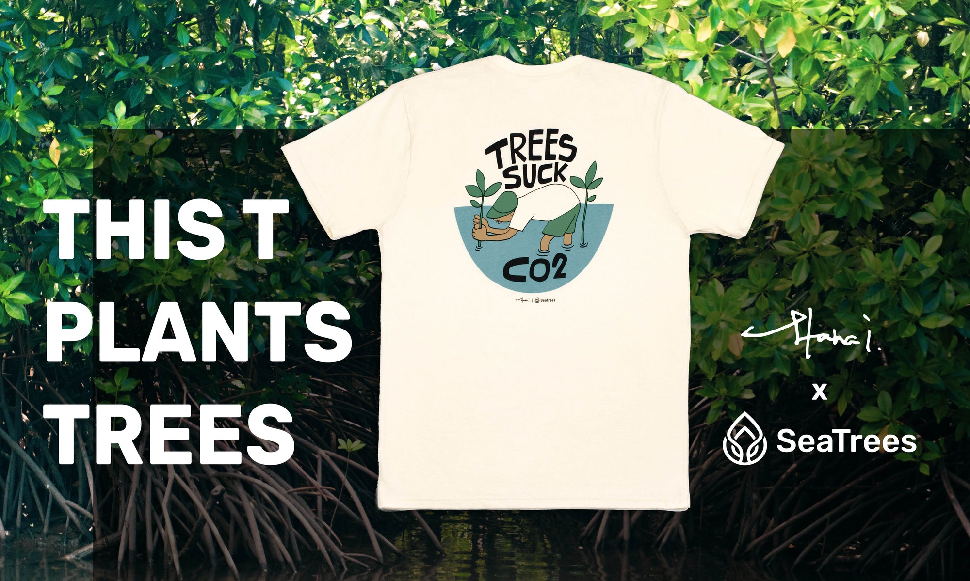 Mangrove Trees Suck (CO2) - and that’s why we love ‘em