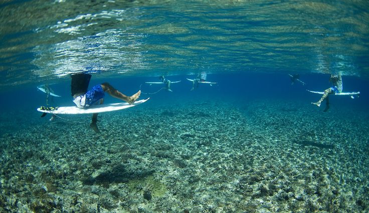 Surfing and Sustainability: Protecting Surf Breaks and Their Ecosystems