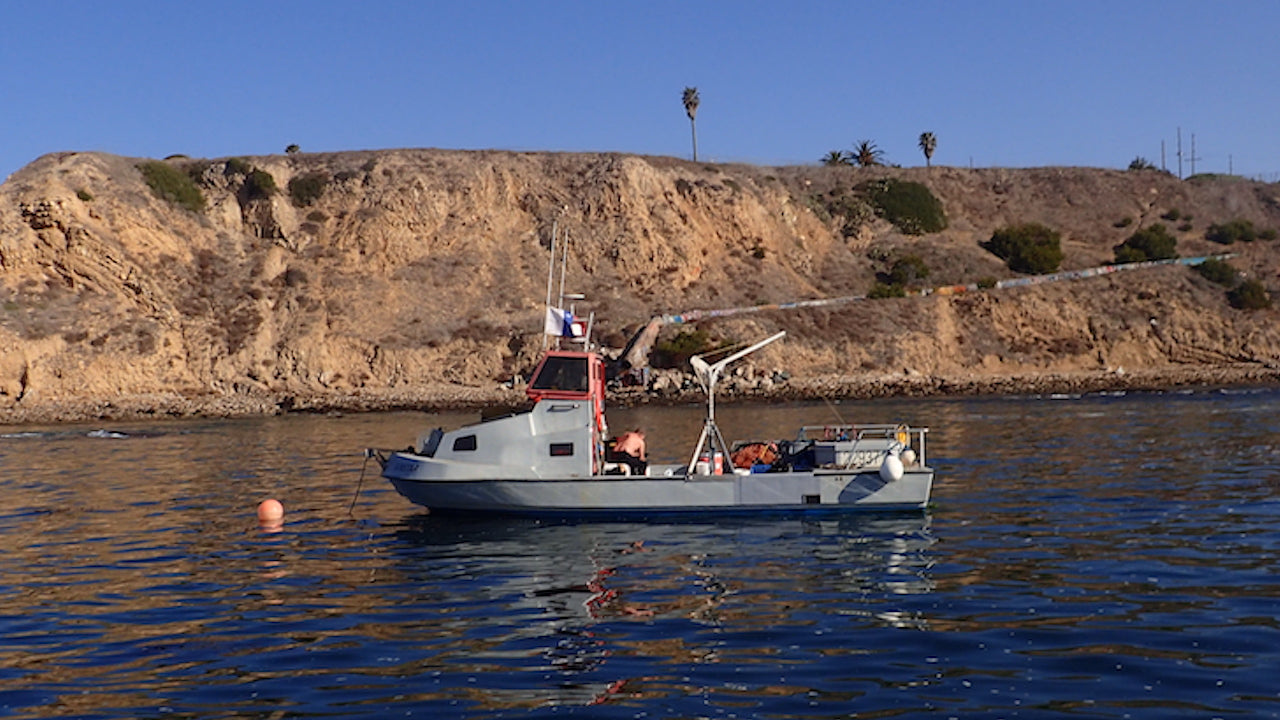 Spring Cleaning (Clearing) in the Palos Verdes Kelp Forests