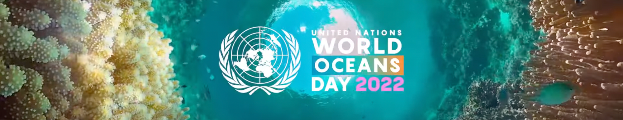 Happy World Oceans Day from SeaTrees!