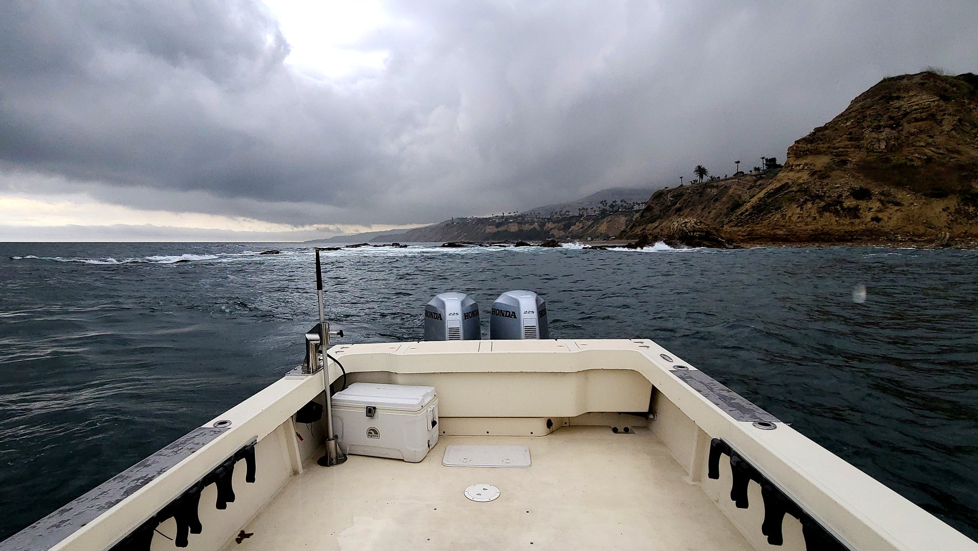 A Visit to the SeaTrees Kelp Forest: Palos Verdes, California