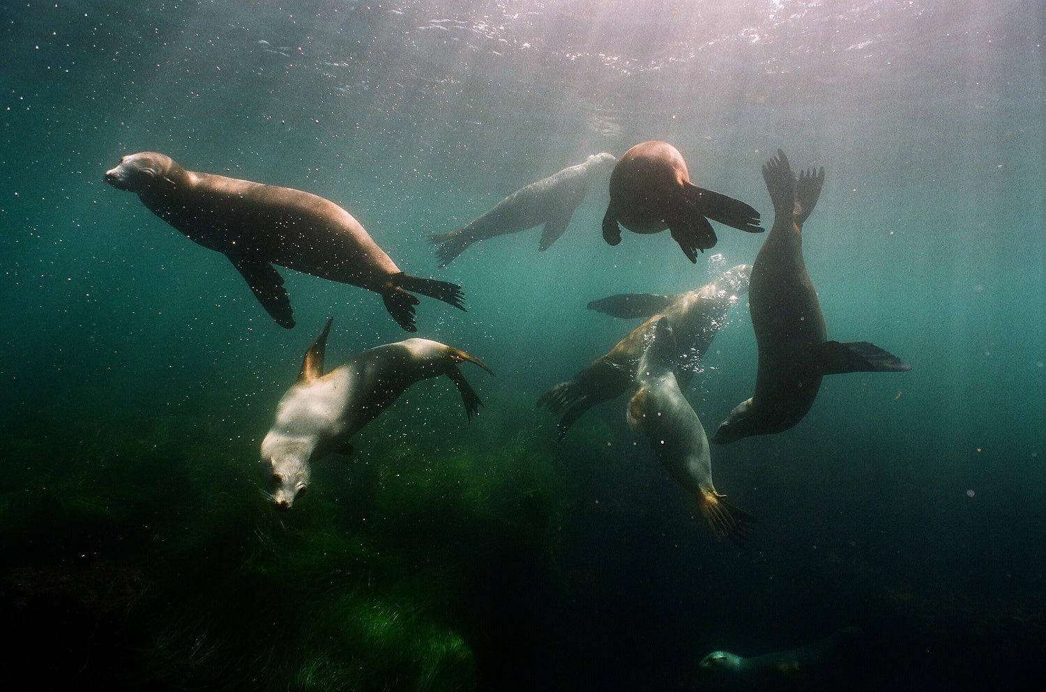 Save Our Ocean. Save Our World.