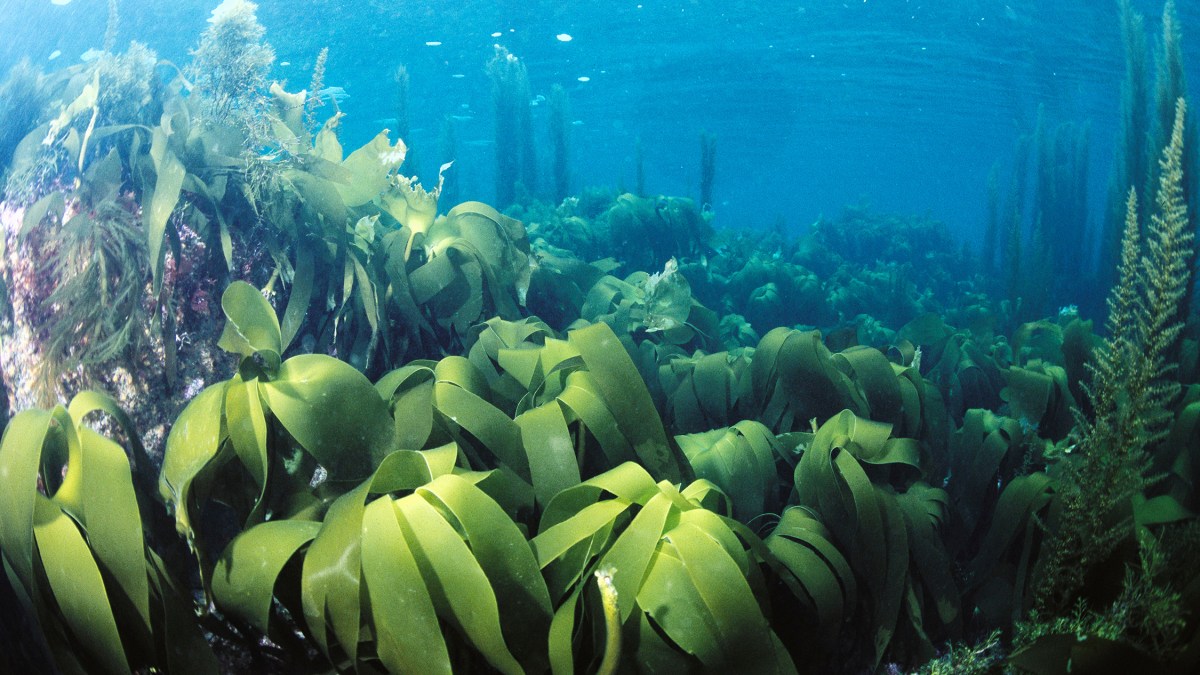 From Extractive to Regenerative