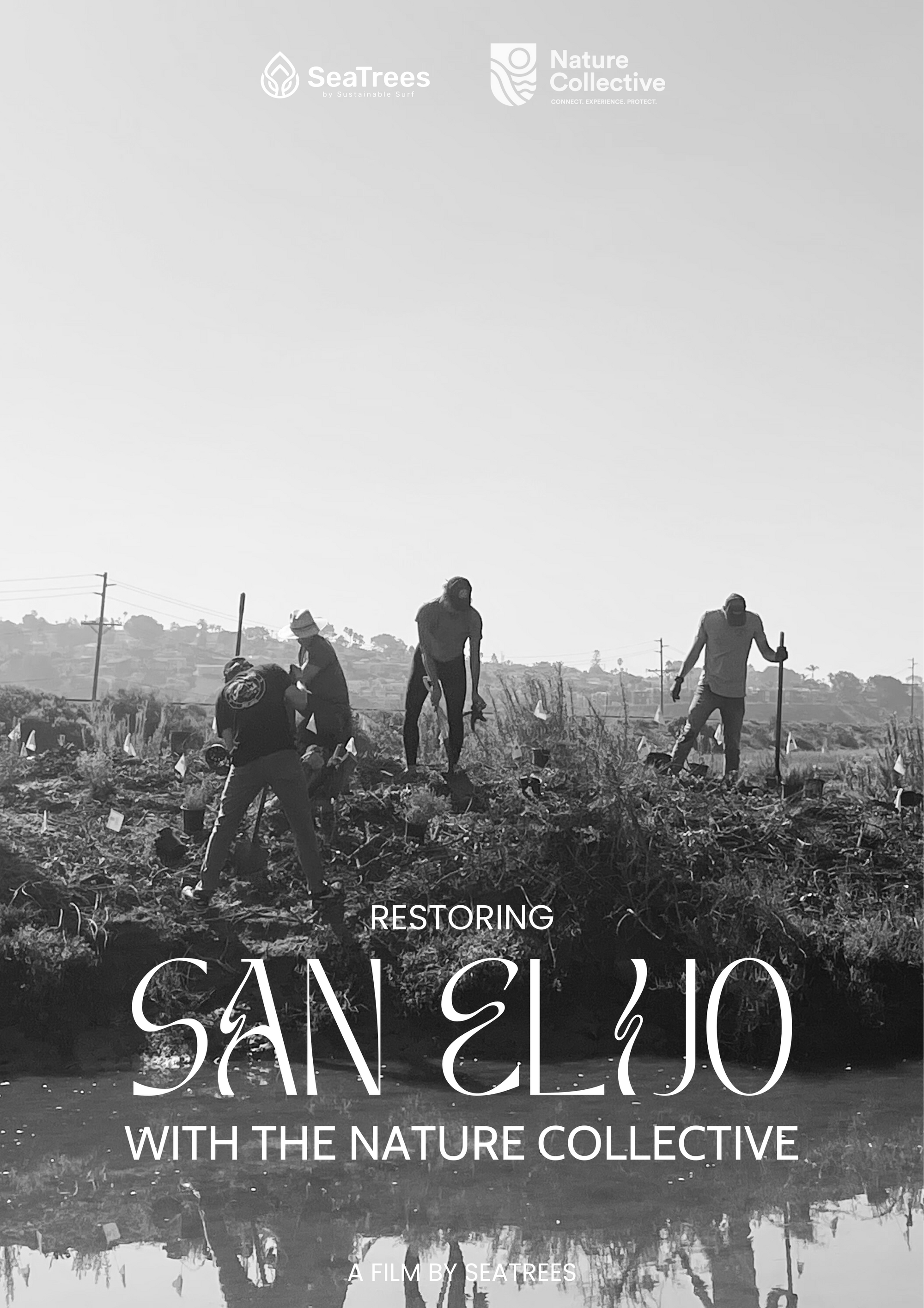 Restoring San Elijo with the Nature Collective