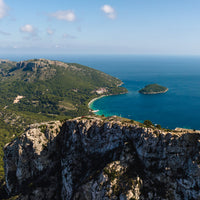 Subscribe to Restore Seagrass in Spain