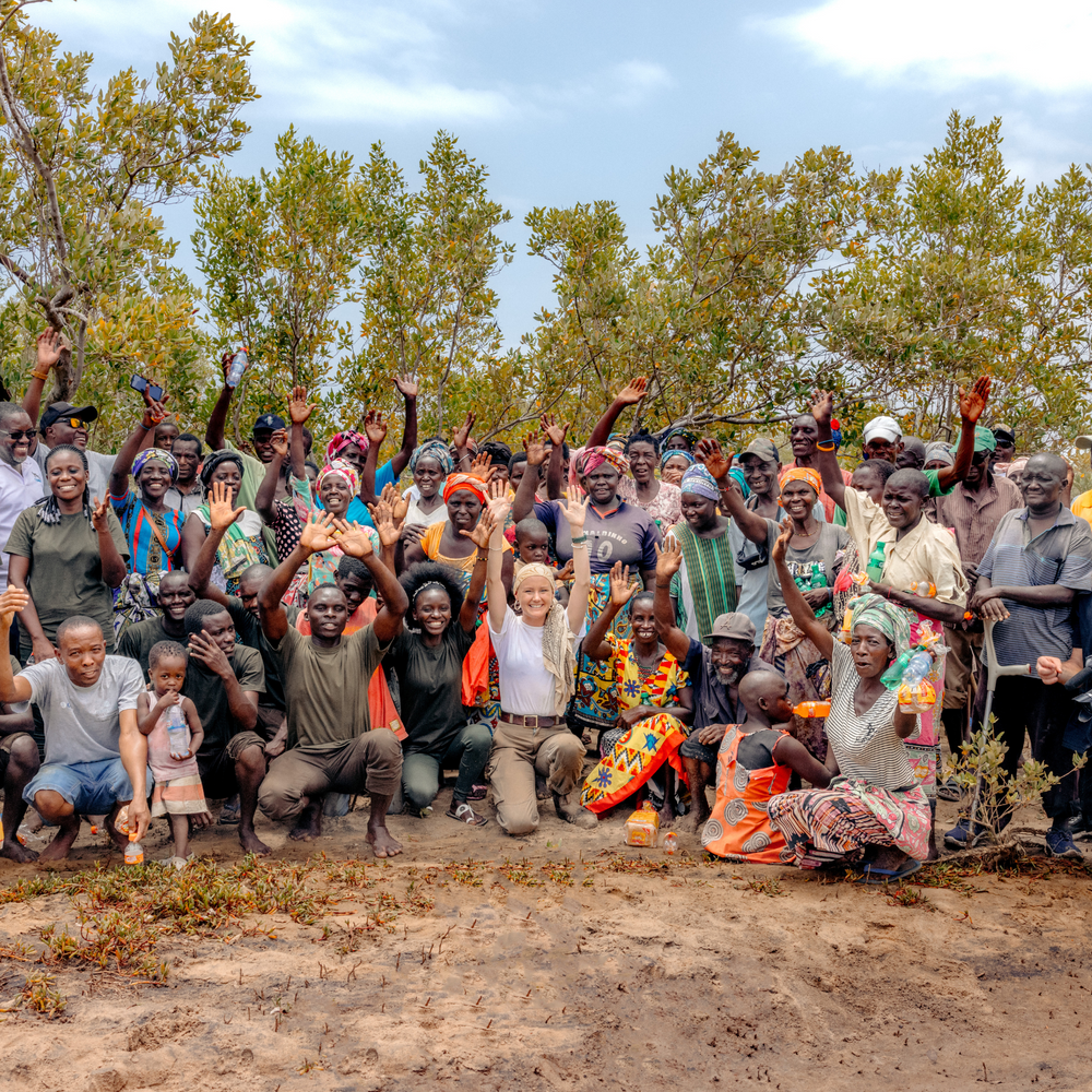 Plant Mangrove SeaTrees in Marereni, Kenya