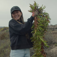 Restore the Watershed in Cardiff