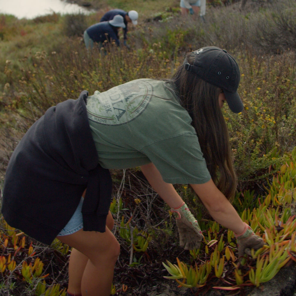 Restore the Watershed in Cardiff