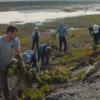 Restore the Watershed in Cardiff