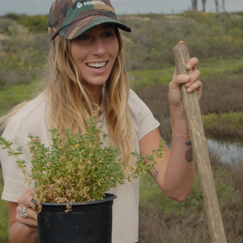 Restore the Watershed in Cardiff