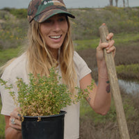 Restore the Watershed in Cardiff